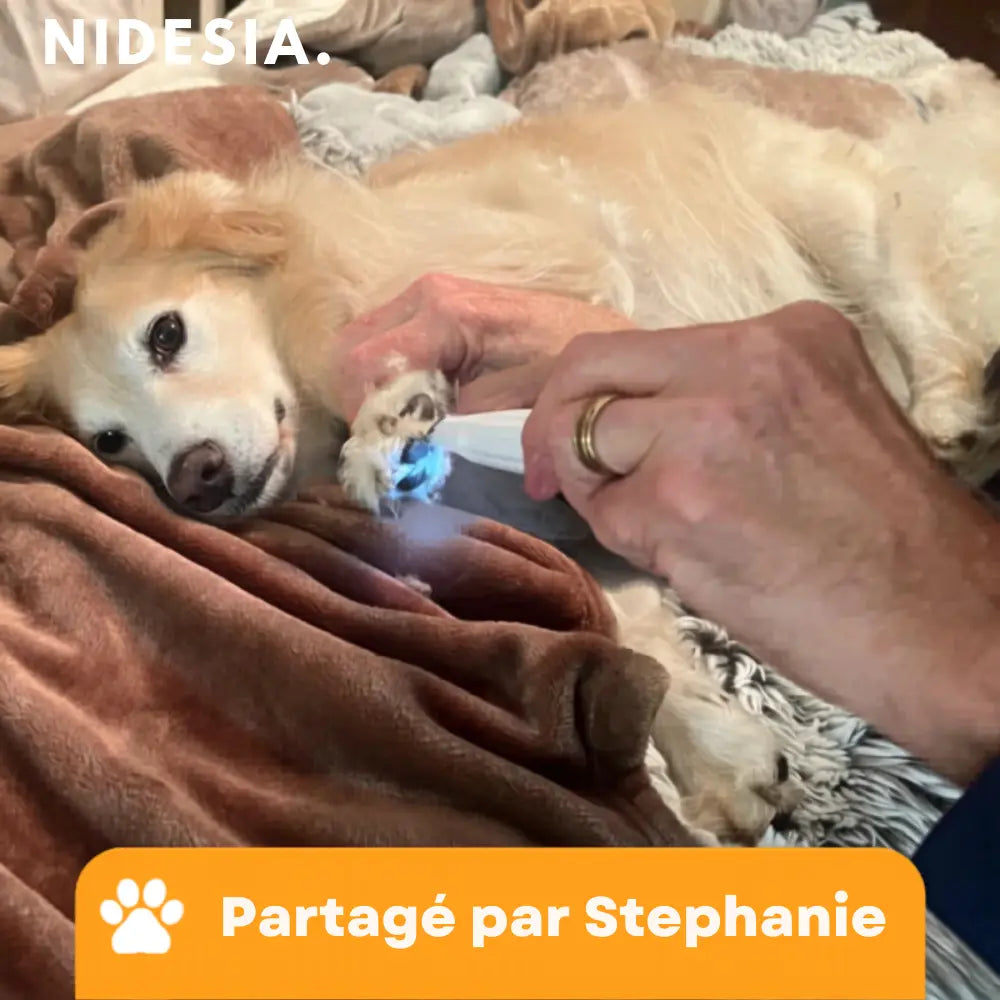Tondeuse PawTrim Pro™ - Soin des pattes sans douleur en quelques secondes