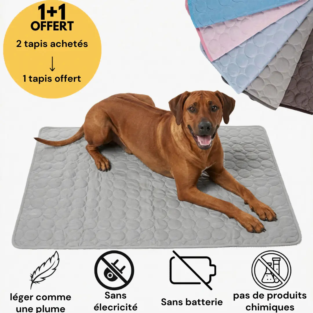 Tapis rafraîchissant pour l'été | OFFRE 1+1