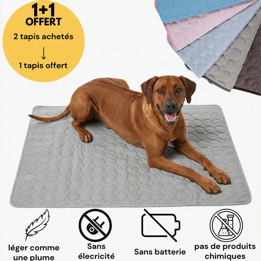 Tapis rafraîchissant pour l'été | OFFRE 1+1