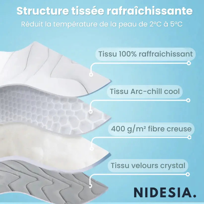 NidesiaChill™ - Le tapis pour chien innovant