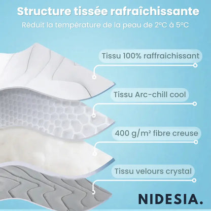 NidesiaChill™ - Le tapis pour chien innovant