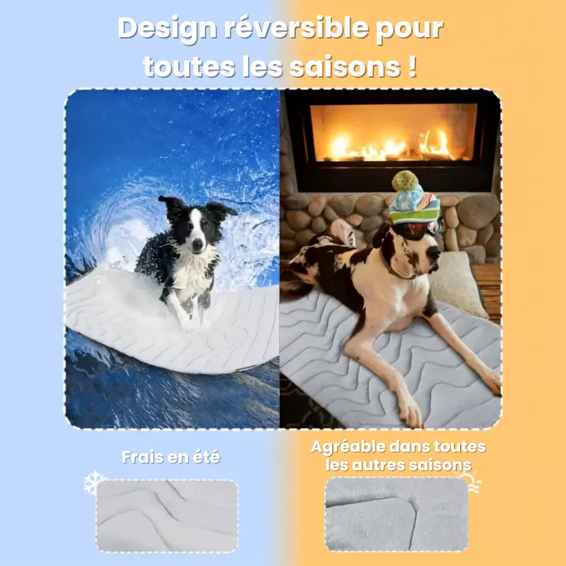 NidesiaChill™ - Le tapis pour chien innovant