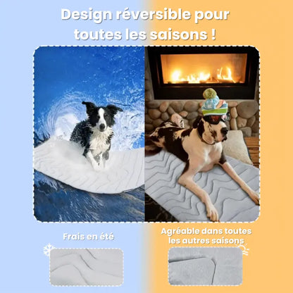 NidesiaChill™ - Le tapis pour chien innovant