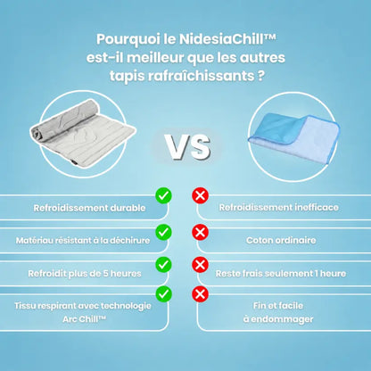 NidesiaChill™ - Le tapis pour chien innovant