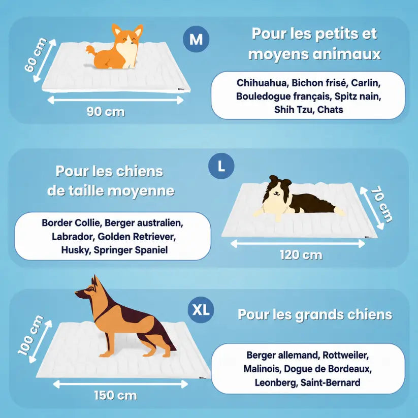 NidesiaChill™ - Le tapis pour chien innovant