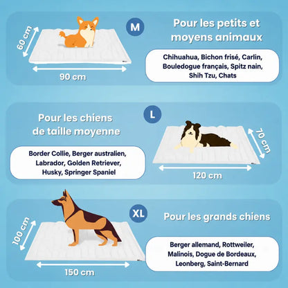 NidesiaChill™ - Le tapis pour chien innovant