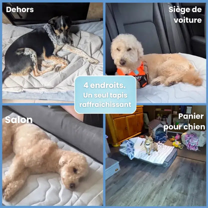 NidesiaChill™ - Le tapis pour chien innovant