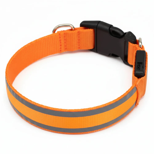Collier lumineux Nidesia